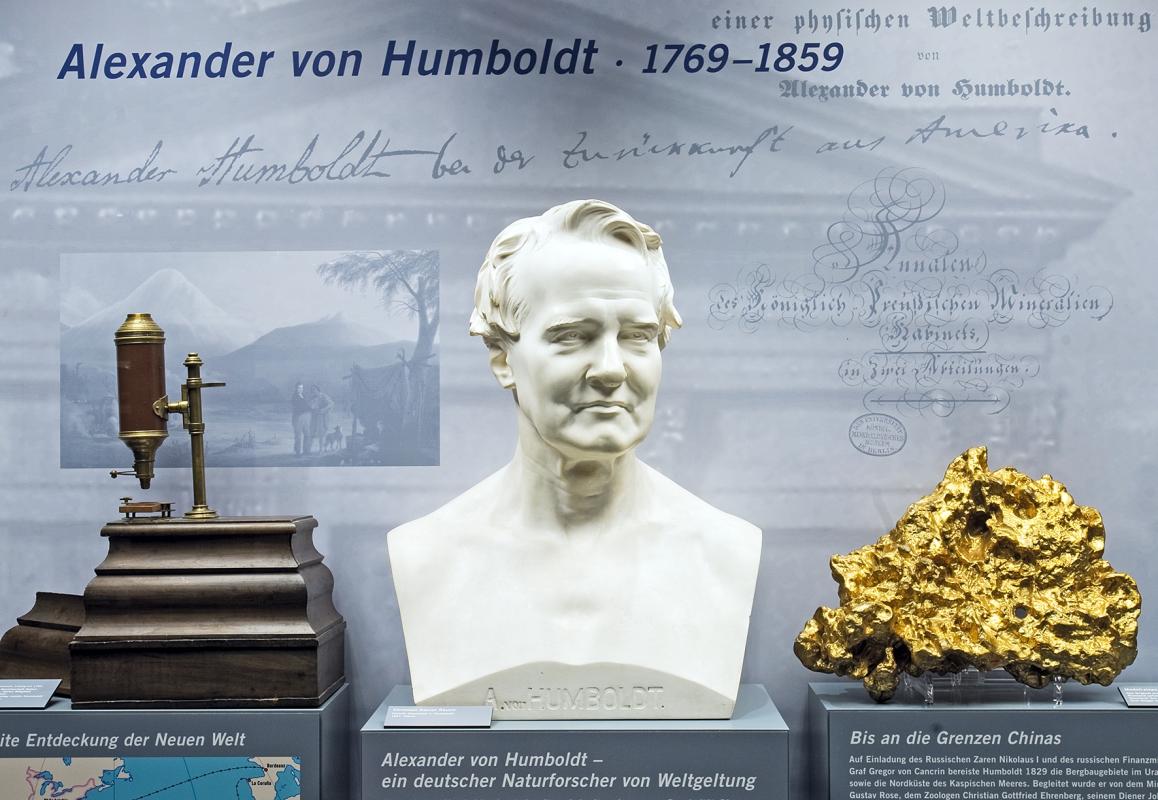 Hier ist die Büste von Alexander von Humboldt im Mineraliensaal zu sehen. Hier ist die Büste von Alexander von Humboldt im Mineraliensaal zu sehen.