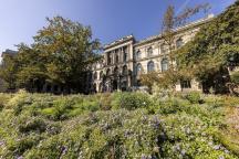 Blick auf das Hauptportal des Museums für Naturkunde mit Wiese davor